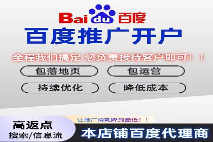 竞价广告的智能投放：XX平台的创新实践